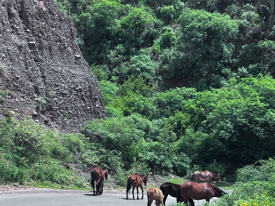 Origins Argentina Travels-萨尔塔必去景点