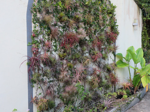 Phantasea Tropical Botanical Garden-圣 托马斯必去景点