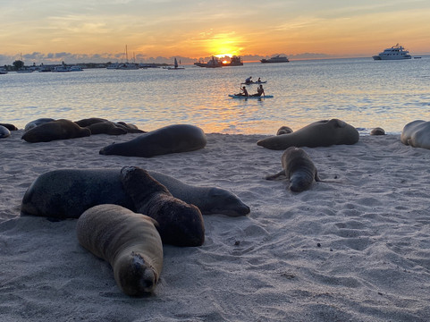 Smart Galapagos-阿约拉港必去景点