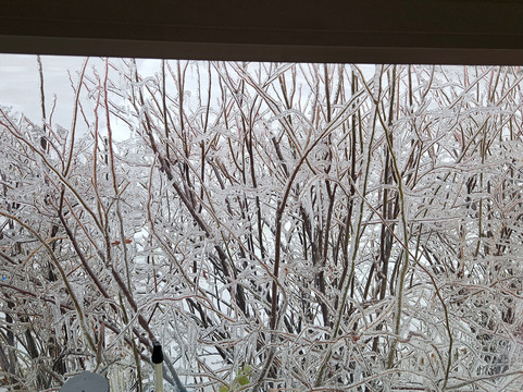 Hampton Inn Pleasant View主图