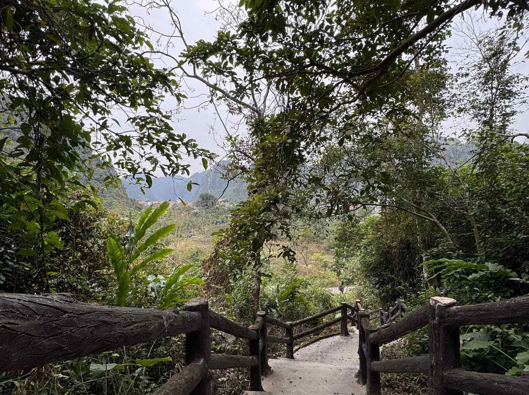 Hoa Cuong Cave-Gia Luan必去景点