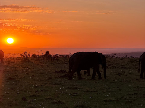 TrueAfrica-阿鲁沙必去景点