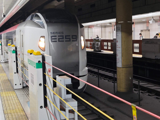 Narita Express (NEX)-成田市必去景点