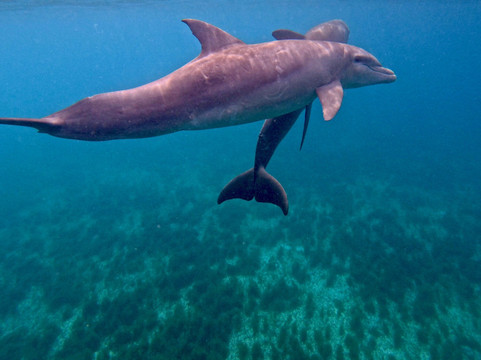 Big Beard's Adventure Tours-Christiansted必去景点