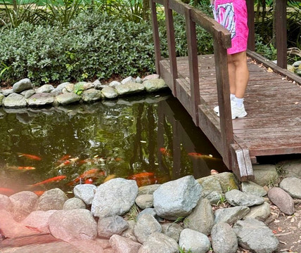 National Aquarium-圣多明哥必去景点