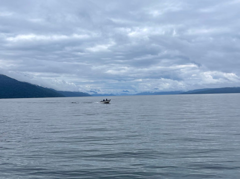 Turismo Cahuelche-Cisnes必去景点