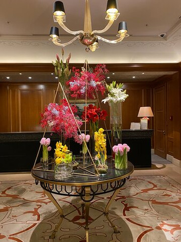 布拉格四季酒店主图