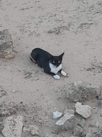 Sirenis Seaview Country Club-官方