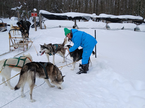 Windrift Kennel-奥里利亚必去景点