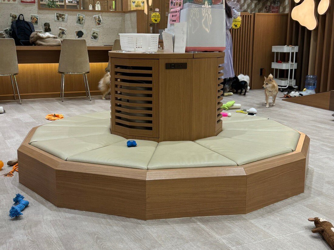 Puppy Cafe Rio Kamakura Komachidori-镰仓市必去景点