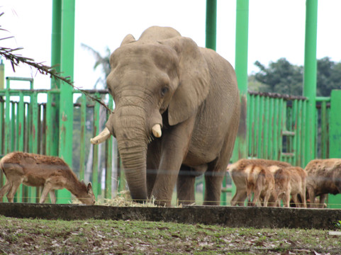 Yumká-Villahermosa必去景点