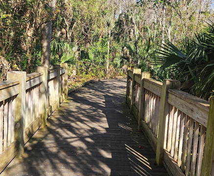 Central Park-奥蒙德海滩必去景点