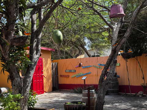 The Cadushy Distillery-Rincon必去景点