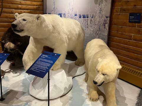 MacBride Museum-白马市必去景点