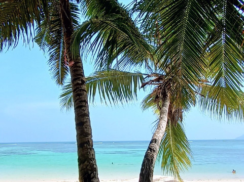 泰蕾兹别墅酒店主图