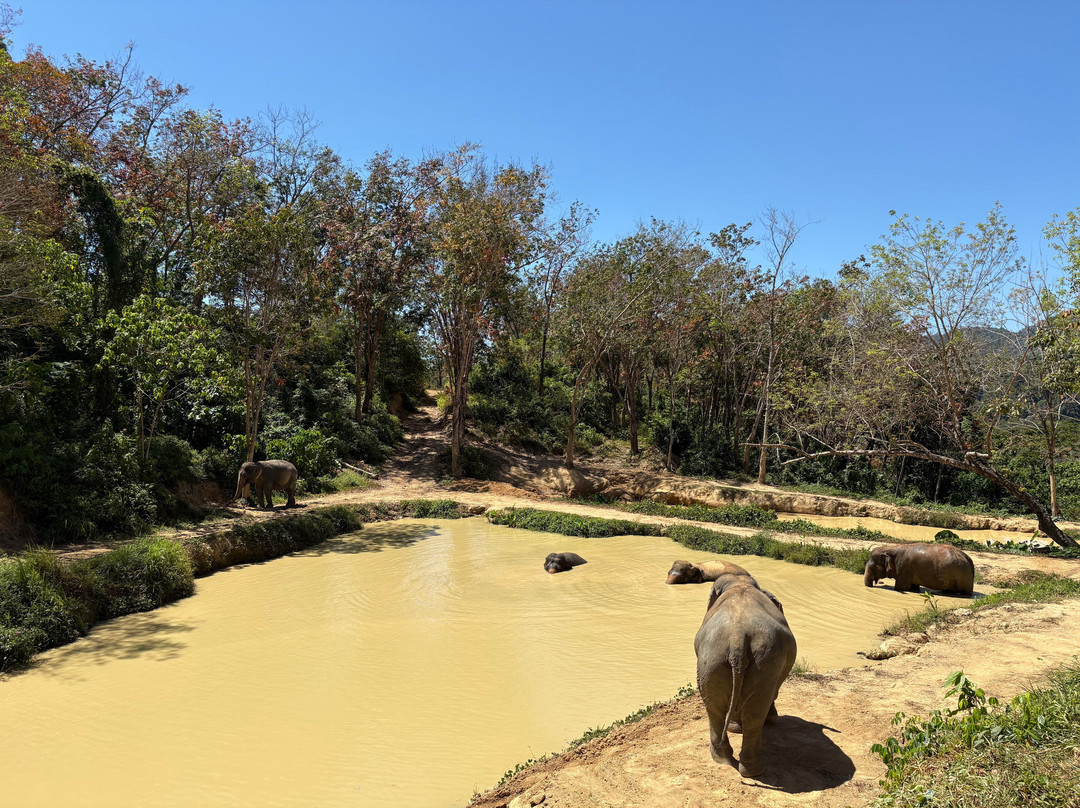 Hidden Forest Elephant Reserve-查龙必去景点