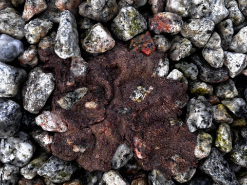 厄普顿十字酒店主图