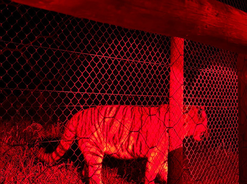 Jukani Wildlife Sanctuary-The Crags必去景点