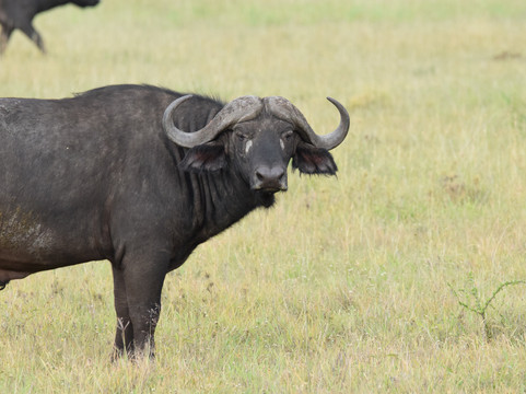 Tumbili-莫西必去景点