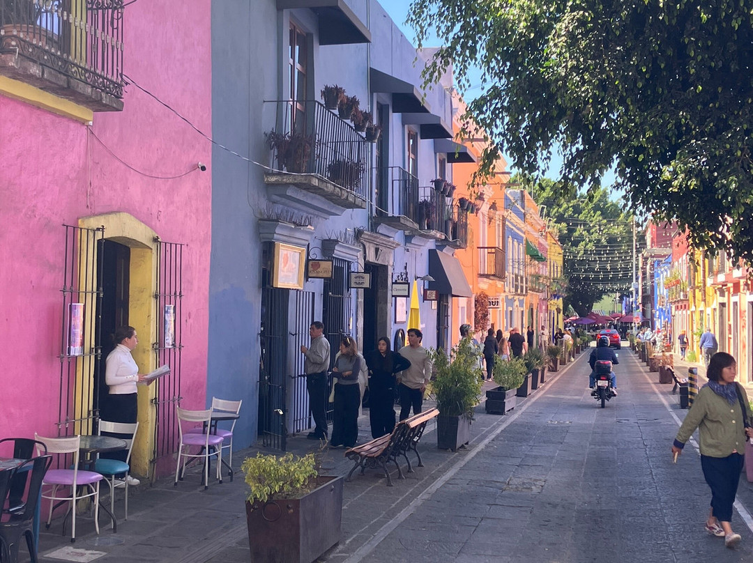 Estacion Mexico Free Tours-墨西哥城必去景点