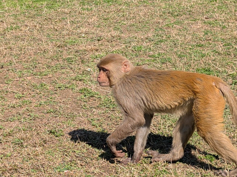 Janu Private Tours-斋蒲尔必去景点