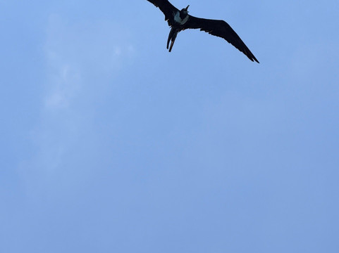 Kicker Rock-Puerto Baquerizo Moreno必去景点