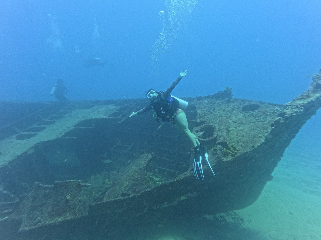 Aquáticos Centro de Mergulho-累西腓必去景点