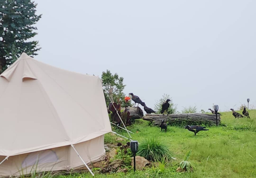 Everview Glamplodge