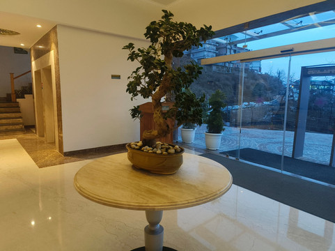 西姆拉兰花酒店主图