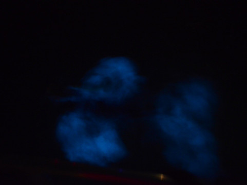 Sweet Spot Watersports-大开曼岛必去景点