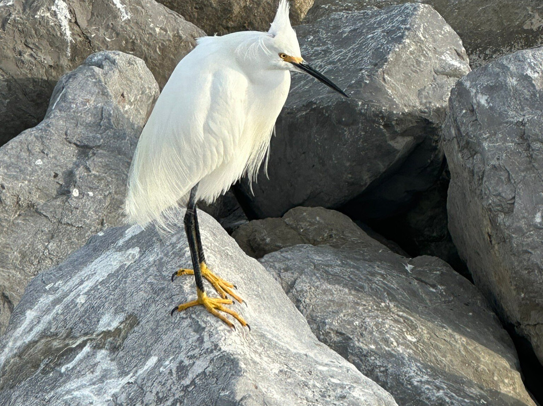 Lighthouse Point Park-Ponce Inlet必去景点