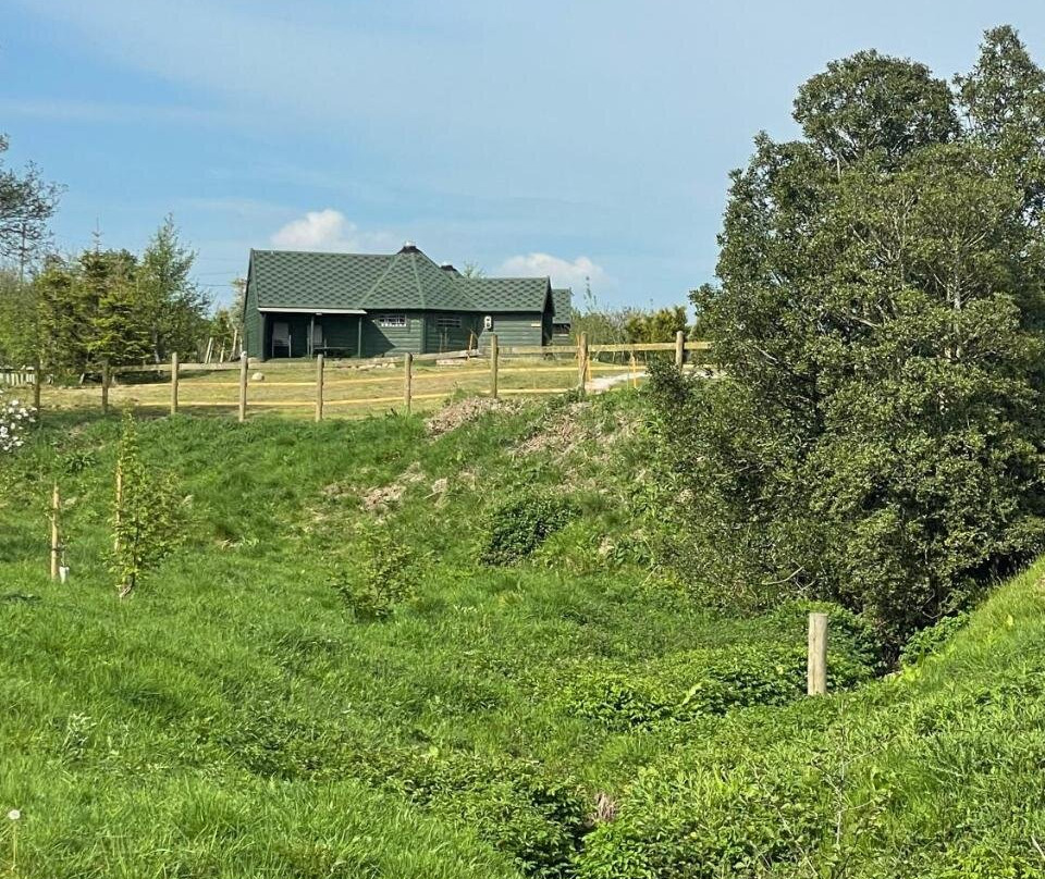 Holly Tree Glamping Cabins