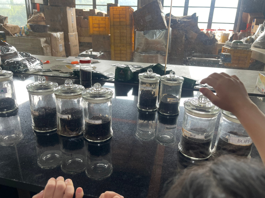 Oak Ray Tea Factory & Museum-拉马伯达必去景点