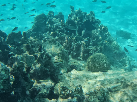 Bonaire National Marine Park-Kralendijk必去景点