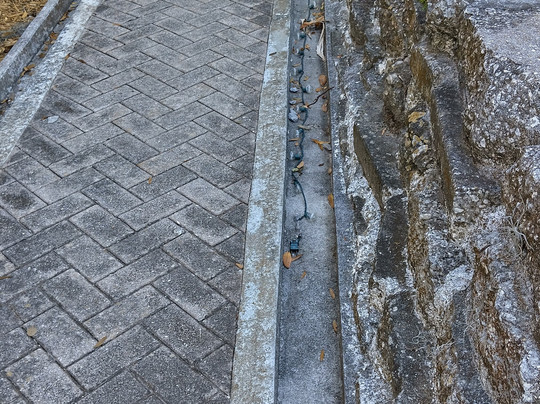 Wonder House-Bartow必去景点