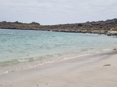 Reserva Nacional Pinguino de Humboldt-Punta Choros必去景点