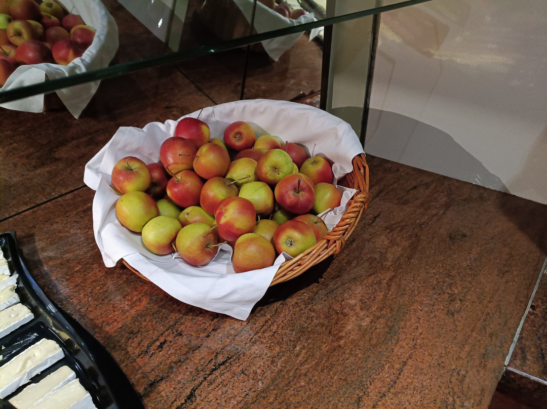 科隆波恩机场莱昂纳多酒店主图