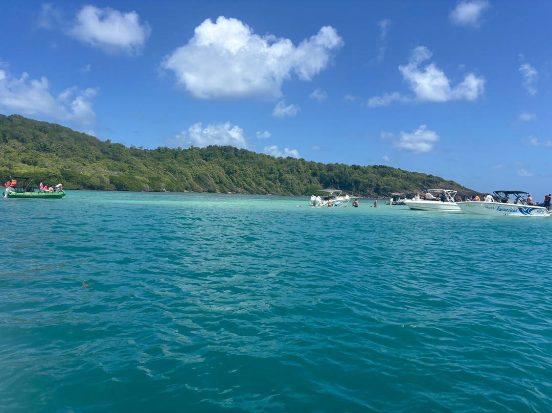 Matt'Excursions Nautiques-Le Francois必去景点