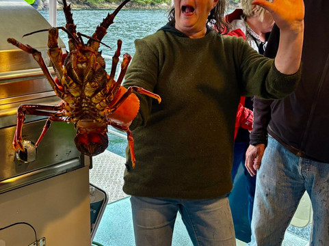 Fiordland Expeditions - Doubtful Sound Overnight Cruises & Multi Day Charters-马纳普里必去景点