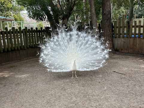 Zoo World Zoological Park-巴拿马城海滩必去景点