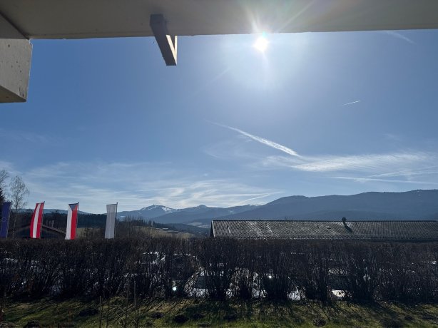 Hotel Sonnenhof Lam-官方