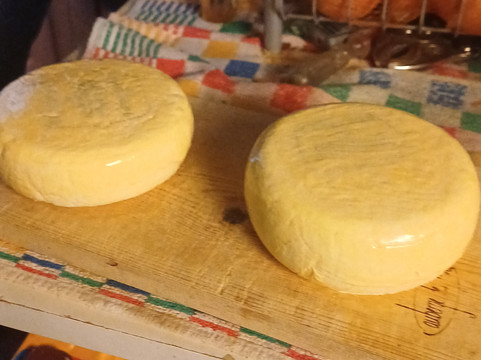 Kaasboerderij De Ruurhoeve-Hoogeloon必去景点