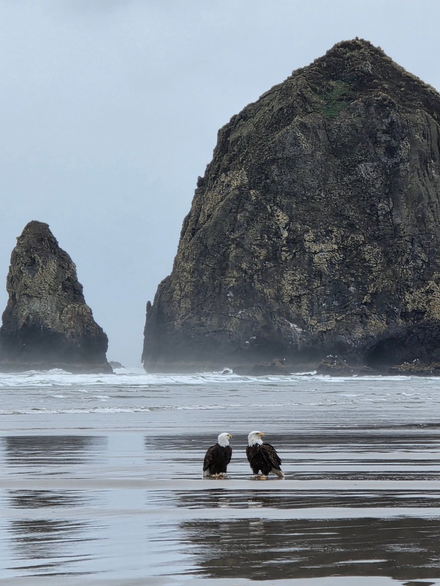 海洋山林小屋-官方