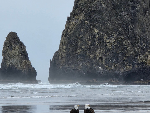 海洋山林小屋主图