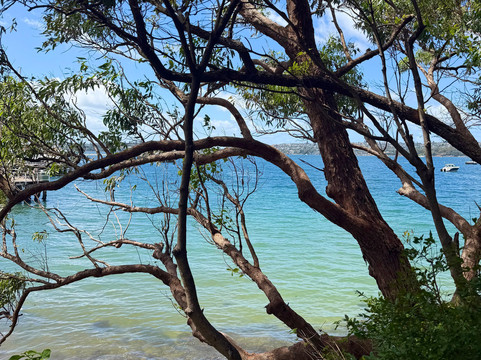 Positive Energy Adventures & Retreats-麦克夸利港必去景点