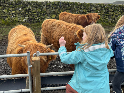 Kitchen Coos & Ewes-New Luce必去景点