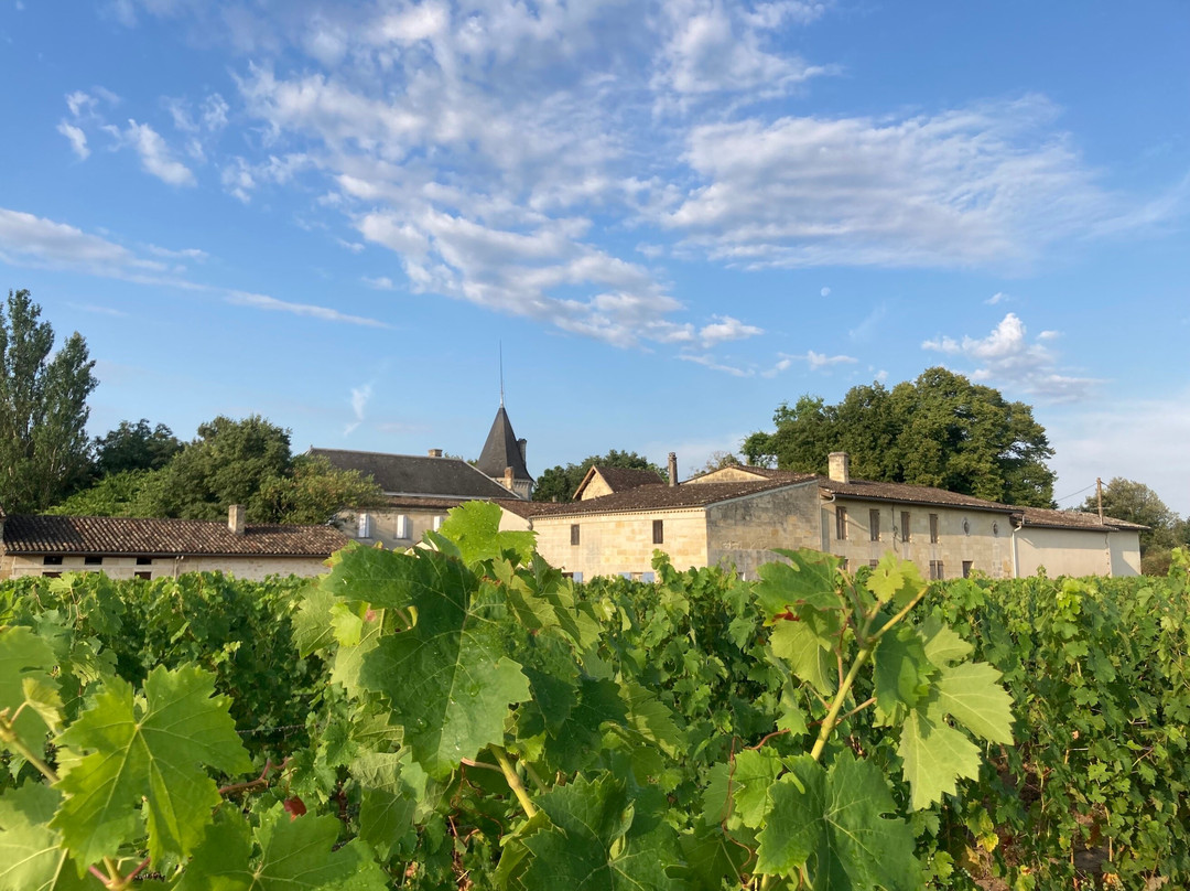 Château Gueyrosse EARL Vignobles Yves DELOL-利布尔纳必去景点