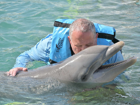 Dolphin Discovery Grand Cayman-西湾必去景点
