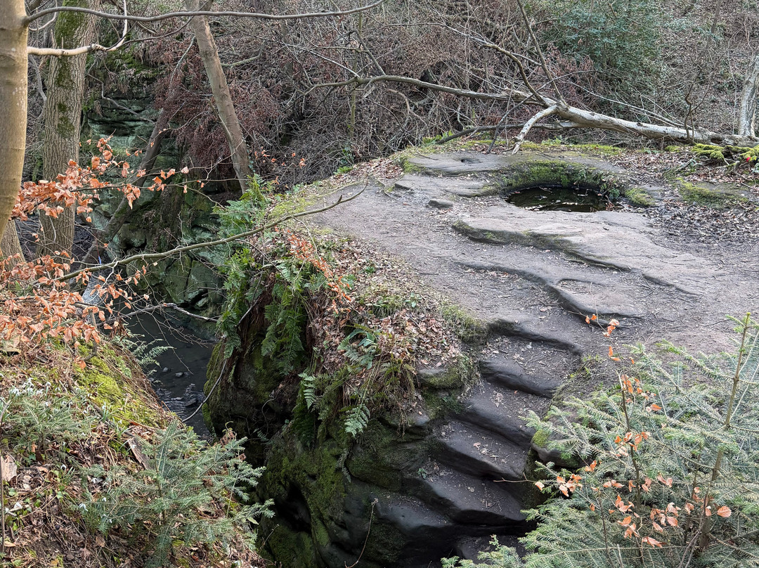 Dunino Den-圣安德鲁斯必去景点