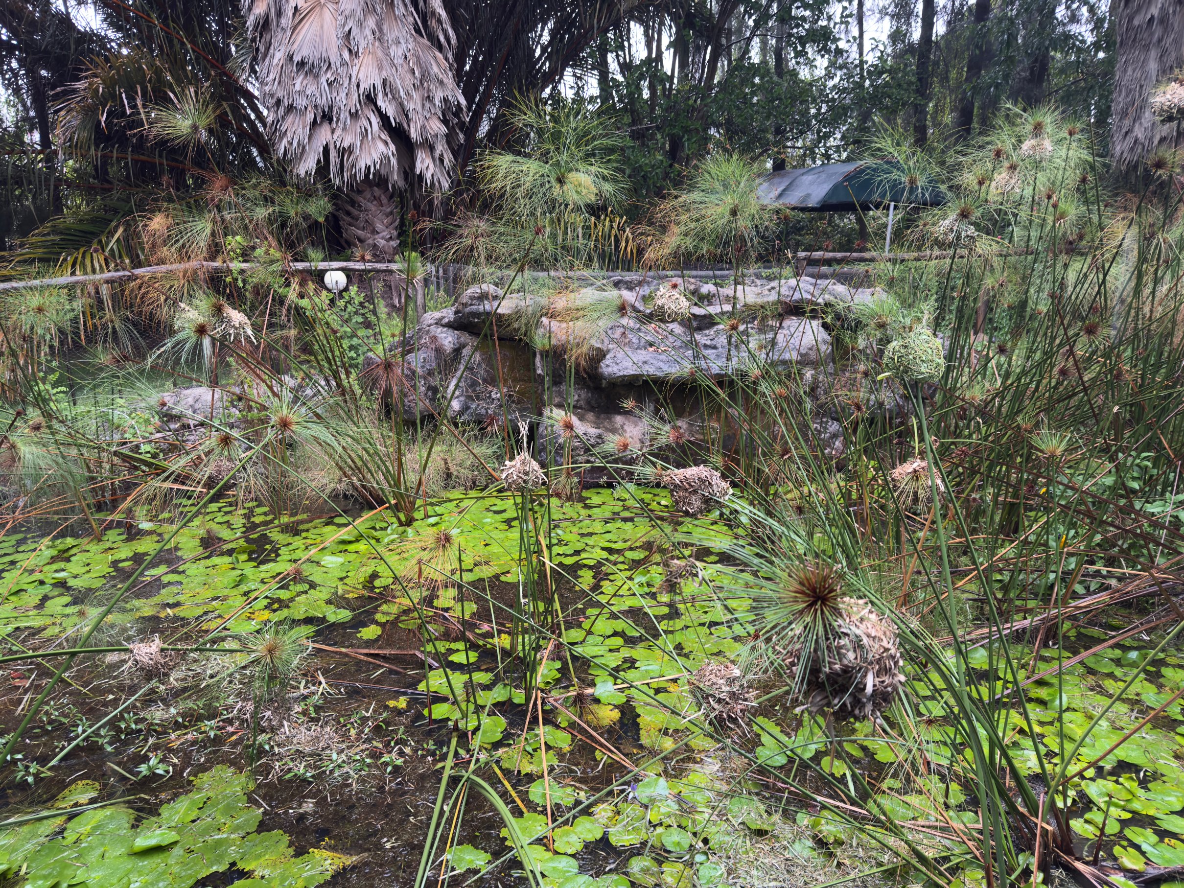 波阿广场度假村及酒店 - 自然与舒适的结合-官方